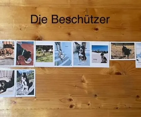 Haus Zur Erholung *